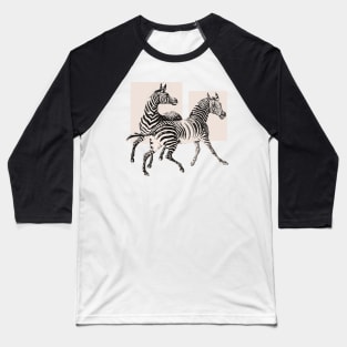 Animal zebras Baseball T-Shirt